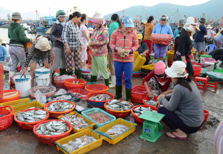 Mách bạn 7 địa điểm mua bán thủy hải sản lớn nhất Đà Nẵng