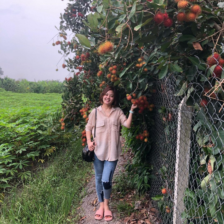 khám phá, trải nghiệm, quên cả lối về khi ghé thăm những vườn trái cây trĩu quả ở gần sài gòn