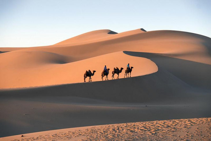 Khám phá sa mạc Gobi Mông Cổ