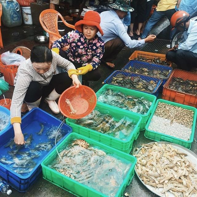 khám phá, trải nghiệm, chợ vựa hải sản ở vũng tàu tươi ngon – mới cập nhật