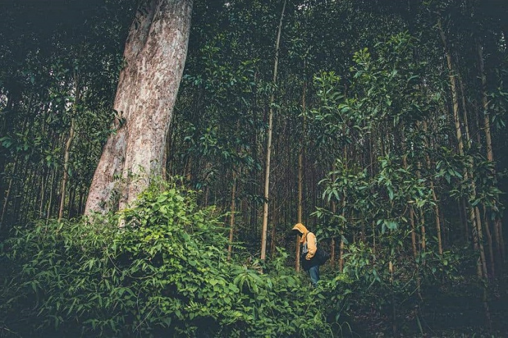 Khu bảo tồn thiên nhiên Hòn Bà Nha Trang – Bật mí kinh nghiệm khám phá