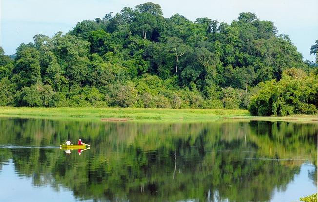 Rừng quốc gia Nam Cát Tiên – vẻ đẹp hoang sơ của địa điểm du lịch Đà Lạt