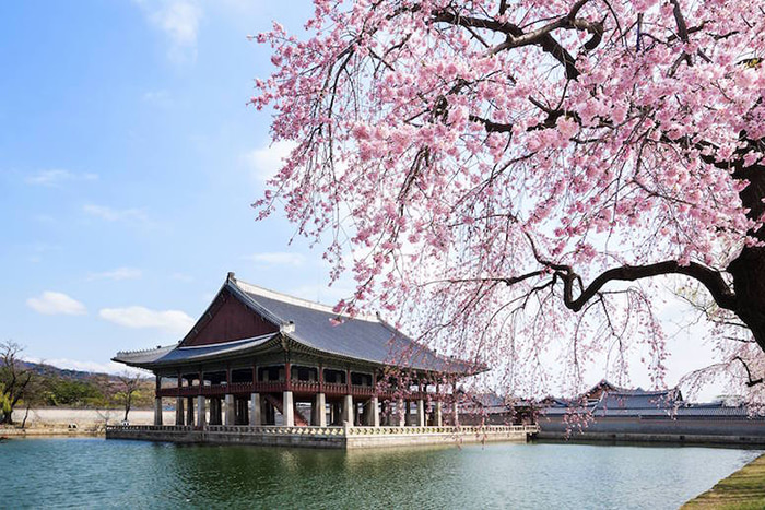 Những điều cần biết về visa du lịch Hàn Quốc 2022