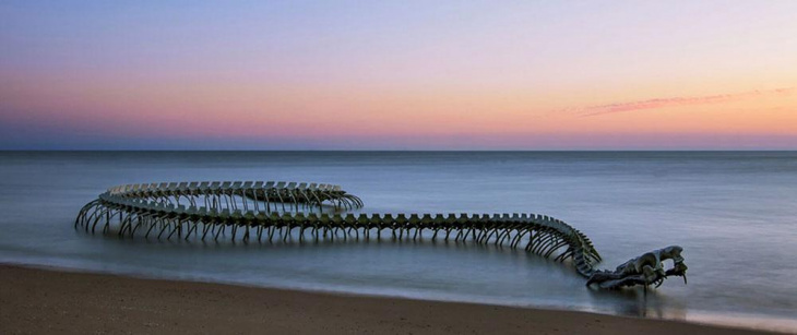 xương rắn khổng lồ, xương rắn, điêu khắc, , khám phá, trải nghiệm, bộ xương rắn khổng lồ nổi bật giữa bãi biển hút khách du lịch