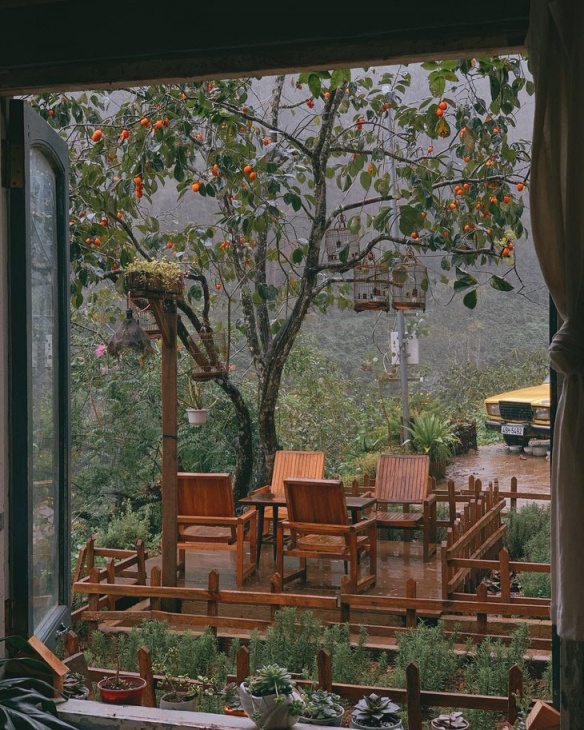 , đà lạt, điểm đẹp, các quán cafe view đẹp ở đà lạt dành cho người yêu cỏ cây hoa lá