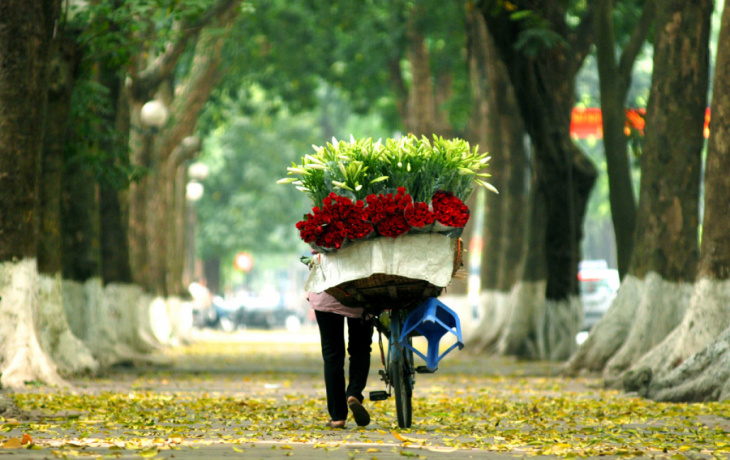 Những điểm đến lãng mạn vào mùa thu Việt Nam