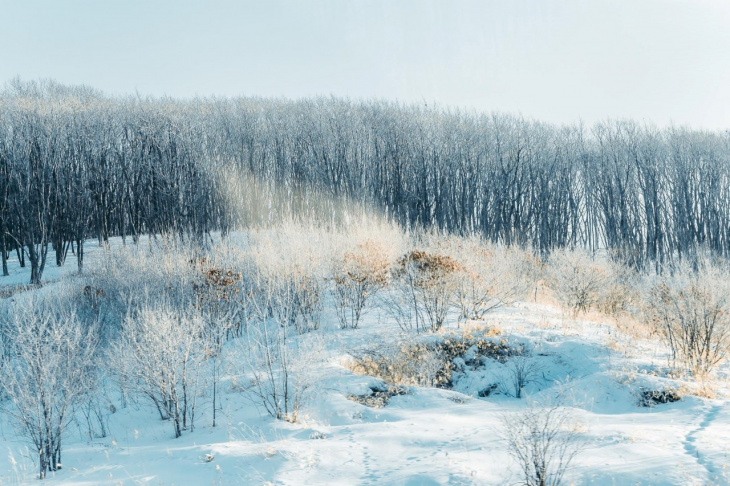 Hokkaido hóa “thiên đường tuyết trắng” khi vào đông