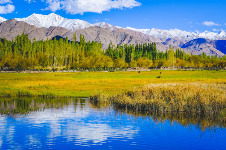 Vẻ đẹp ngỡ ngàng của Ladakh (Ấn Độ)