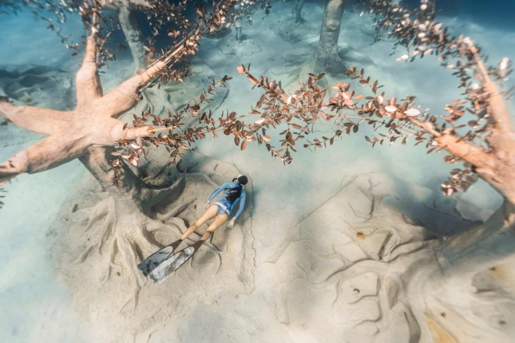 bao-tang-duoi-nuoc, quoc-dao-sip, rung-musan, ghé thăm rừng musan – khu rừng điêu khắc dưới nước đầy nghệ thuật