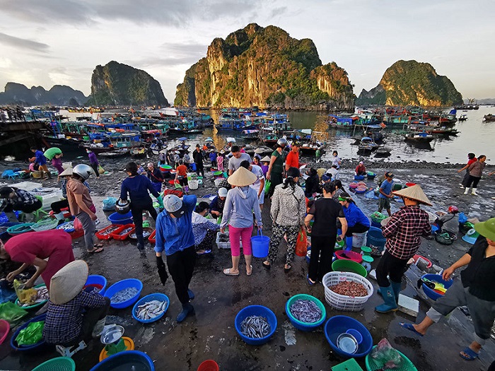 cẩm nang, khám phá, trải nghiệm, du lịch quảng ninh mùa đông - trải nghiệm thú vị hơn cả mong đợi