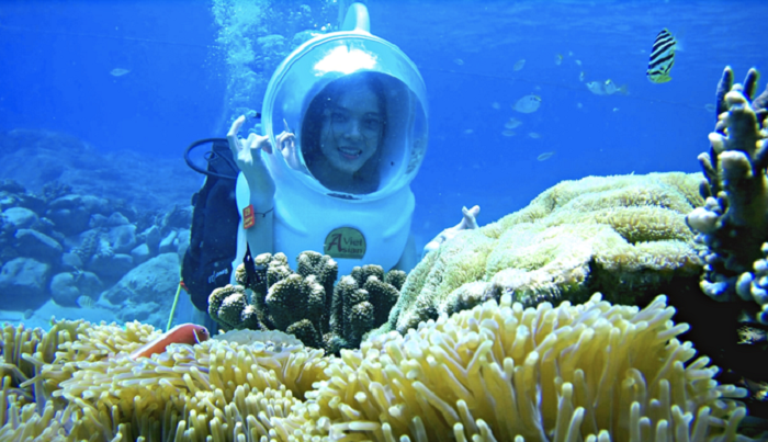 điểm du lịch nha trang, vịnh san hô nha trang: điểm đến cho trái tim yêu khám phá đại dương