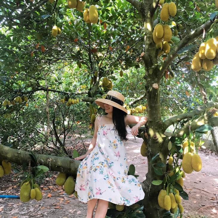 khám phá, trải nghiệm, 15 điểm du lịch vườn trái cây cần thơ sum suê trái ngọt quanh năm