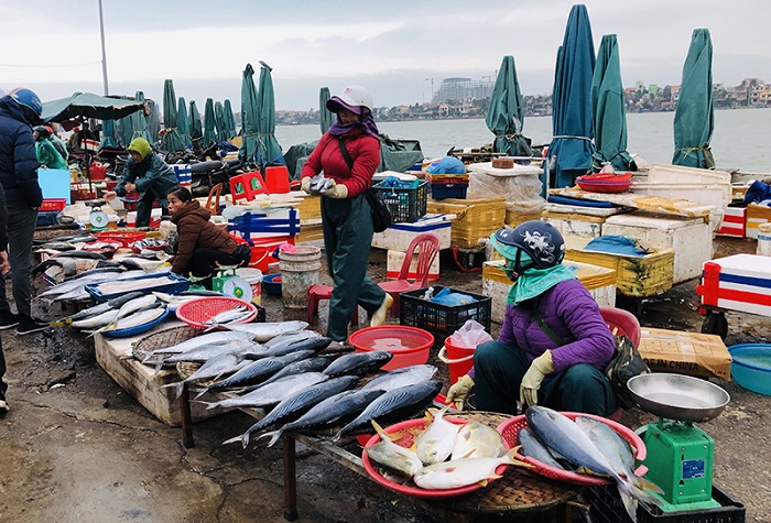 khám phá chợ đồng hới – chợ hải sản lớn nhất quảng bình