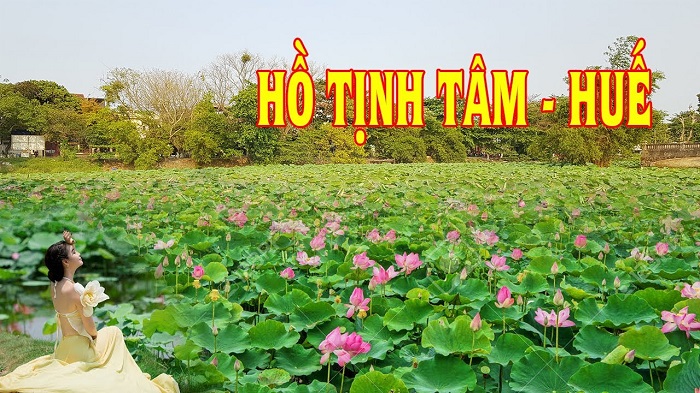 Ghé thăm hồ Tịnh Tâm Huế - thắng cảnh vang danh đất kinh kỳ xưa
