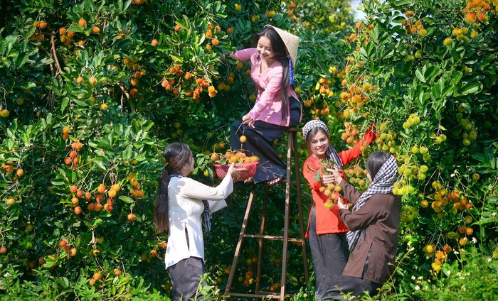 Vườn trái cây Rạch Kè - Khu du lịch sinh thái hấp dẫn tại Cần Thơ