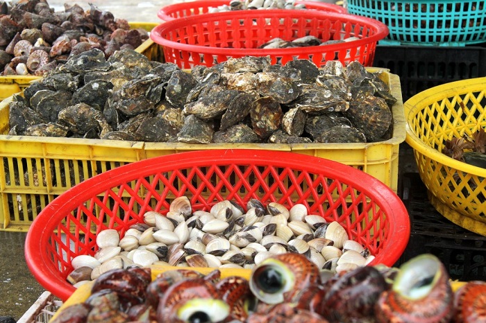 cẩm nang, khám phá, trải nghiệm, 10 chợ hải sản thanh hóa nổi tiếng tươi ngon – giá rẻ
