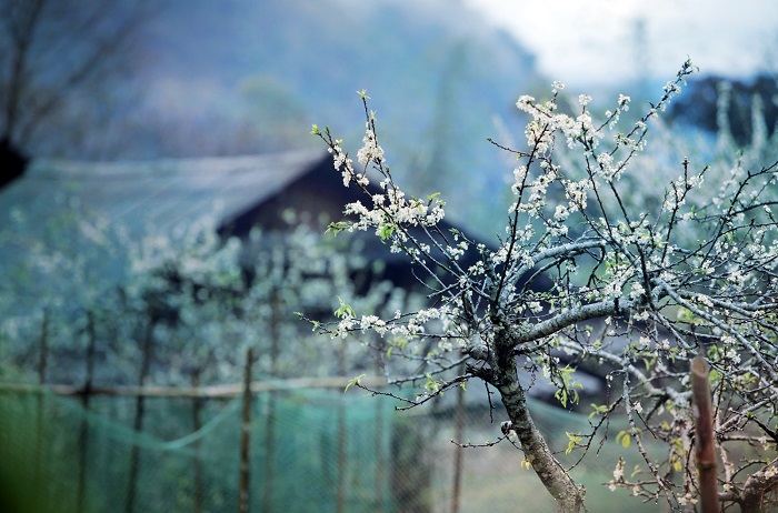 điểm du lịch nghệ an, khách sạn nghệ an, săn mây trên cổng trời mường lống - “miền sapa” xứ nghệ