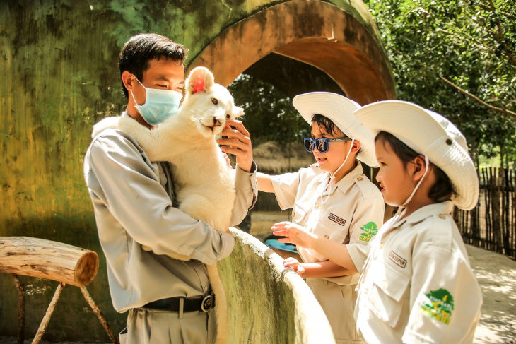 Trải nghiệm 24 giờ làm “bố hổ”, “mẹ sư tử” tại Vinpearl Safari Phú Quốc