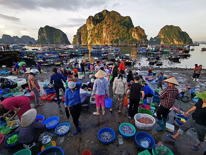 điểm du lịch quảng ninh, chợ cá hạ long - chợ hải sản “không ngủ” lớn nhất hạ long