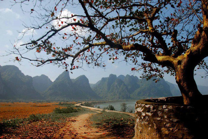 Ghé thăm làng Lệ Sơn - “Đệ nhất bát danh hương” của tỉnh Quảng Bình