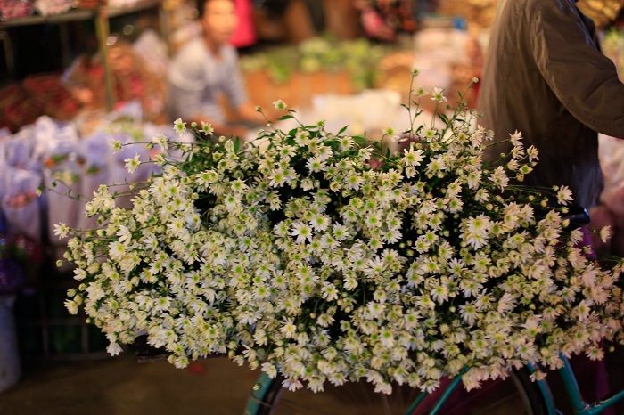 chợ hoa hồ thị kỷ: thiên đường hoa tươi và ẩm thực giữa lòng sài gòn