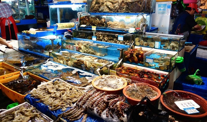 khám phá, trải nghiệm, 6 chợ hải sản nha trang tươi ngon + giá tốt nhất