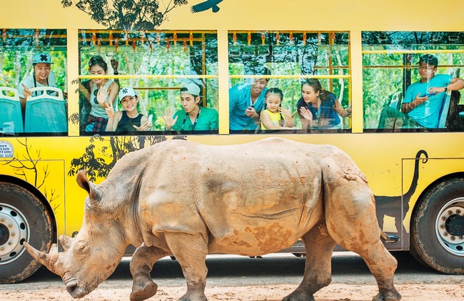 Vinpearl Safari Phú Quốc: Mang gì khi đi thăm động vật hoang dã?