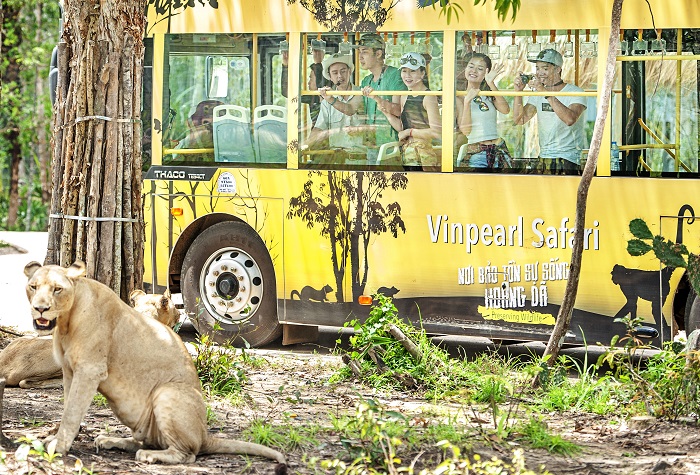 điểm du lịch phú quốc, vinpearl safari phú quốc: mang gì khi đi thăm động vật hoang dã?