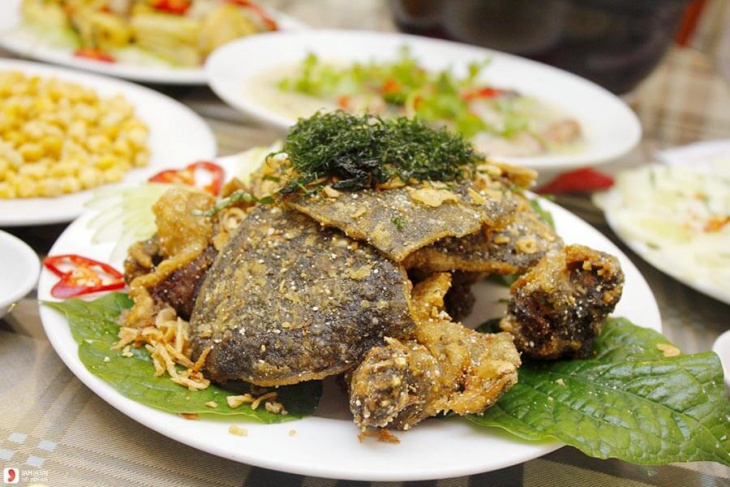 ẩm thực, mách bạn 3 cách chế biến thịt rùa biển ngon bổ dưỡng nhất