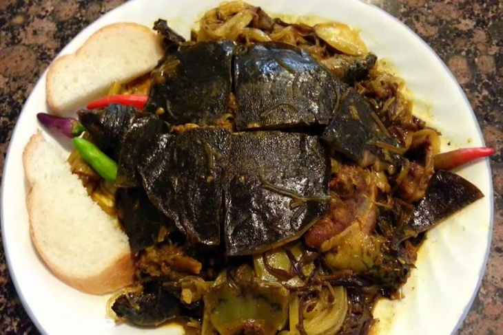 ẩm thực, mách bạn 3 cách chế biến thịt rùa biển ngon bổ dưỡng nhất