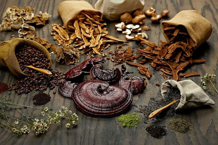 ẩm thực, 10 cách chế biến nấm linh chi thơm ngon bổ dưỡng bạn nên biết