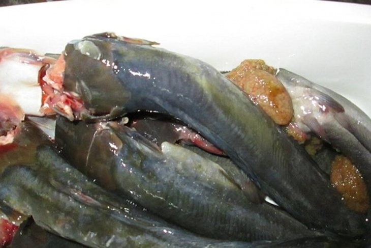 ẩm thực, 8 cách chế biến cá trê loại bỏ sạch nhớt đơn giản tại nhà