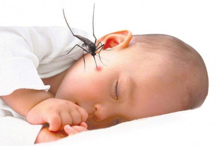 khám phá, trải nghiệm, 7 cách đuổi muỗi an toàn cho trẻ sơ sinh đơn giản và hiệu quả