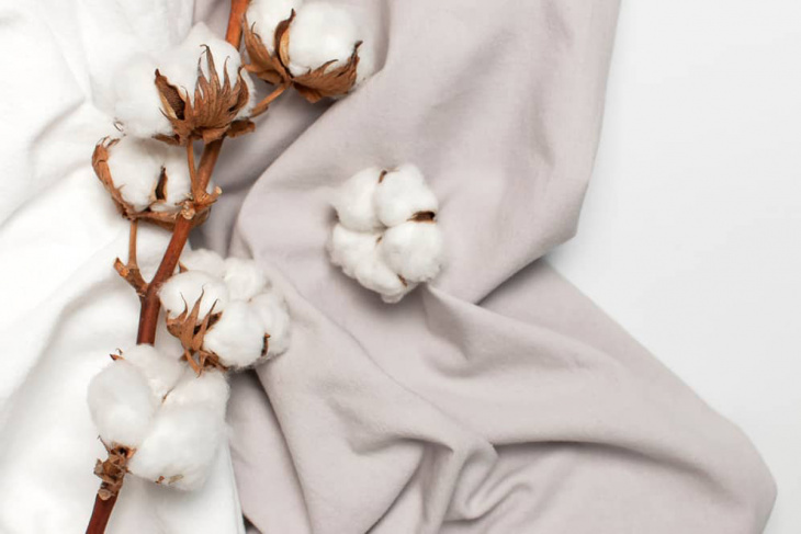 khám phá, trải nghiệm, tìm hiểu về vải cotton – ưu nhược điểm và cách giặt vải