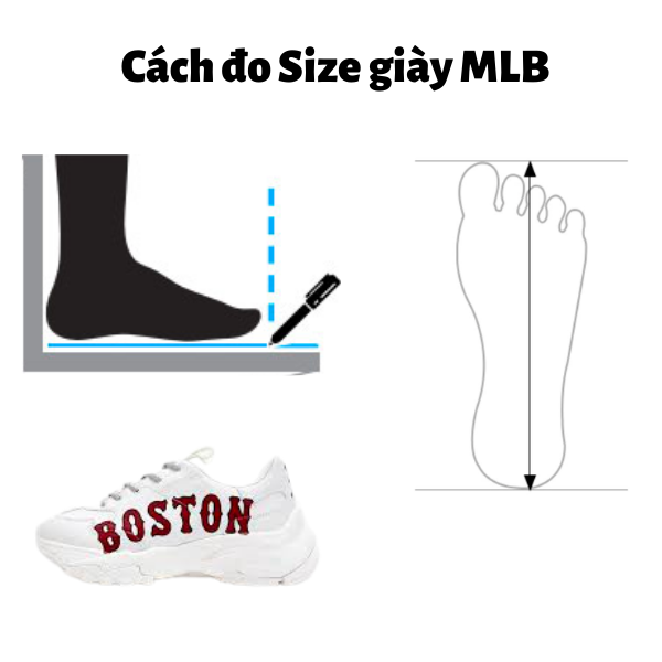 Cách đọc Bảng Size Giày MLB Korea Và Hướng Dẫn Chọn Giày MLB Vừa Vặn