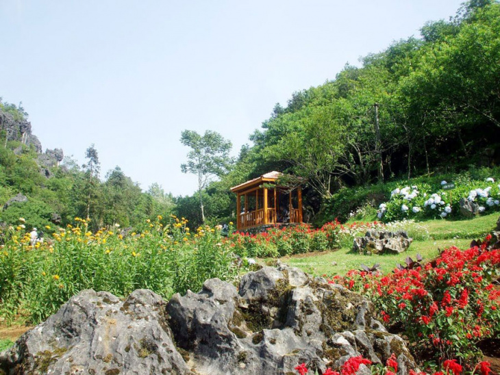 khám phá, trải nghiệm, vườn hoa hàm rồng sapa – địa điểm du lịch bạn không nên bỏ lỡ