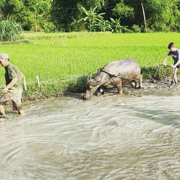 khám phá, trải nghiệm, “ngẩn ngơ” vẻ đẹp các bản làng cổ mai châu hòa bình