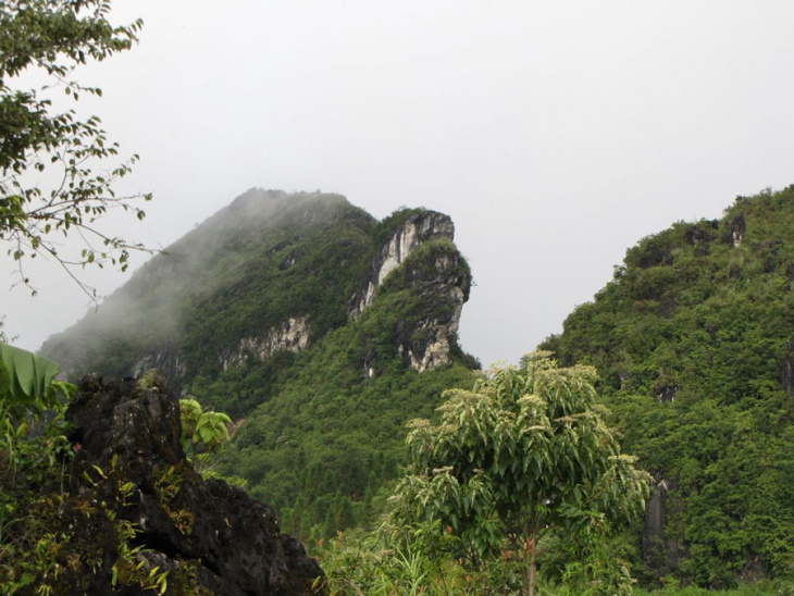Review núi Hàm Rồng – Tại sao bạn không nên bỏ lỡ địa điểm này khi du lịch Sapa