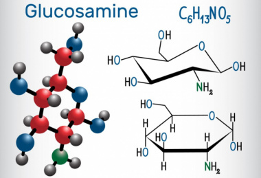 Glucosamine: Người bạn đồng hành cùng sức khỏe xương khớp