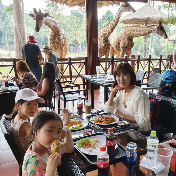 Ăn gì ở Safari Phú Quốc? Kinh nghiệm ăn uống – vui chơi mới nhất