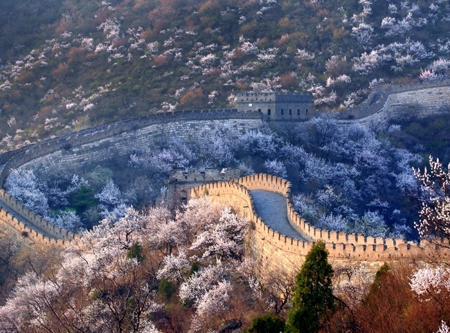 Những Địa Điểm Du Lịch Hấp Dẫn Vào Mùa Xuân Ở Trung Quốc