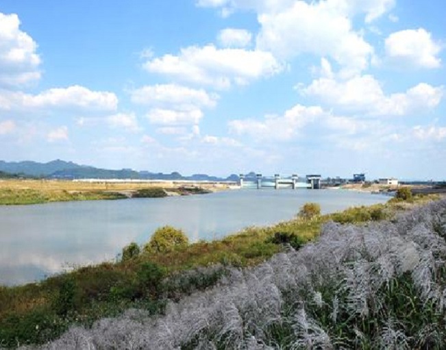 Young-san – Dòng Sông Êm Đềm Lãng Mạn Ở Hàn Quốc