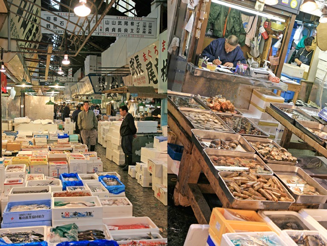 Thăm Chợ Cá Tsukiji Lớn Nhất Thế Giới