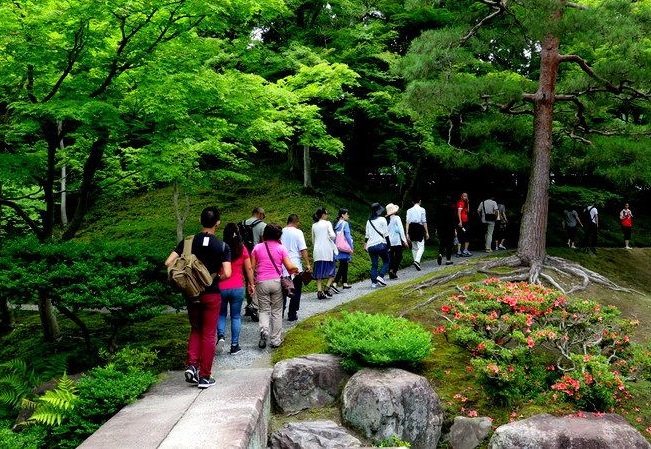 du lịch kyoto nhật bản, du lịch nhật bản, hoàng cung kyoto, hoàng cung kyoto - điểm đến không nên bỏ lỡ khi du lịch nhật bản