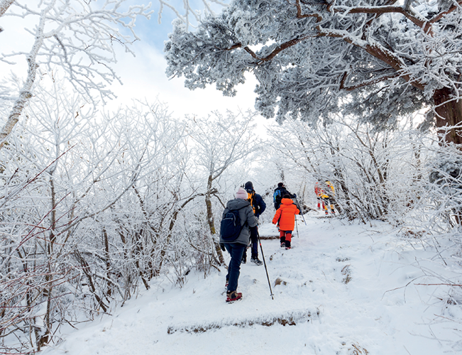 du lịch hàn quốc, du lịch hàn quốc 2018, núi taebaek hàn quốc, khám phá núi tuyết taebaek – điểm du lịch tuyệt vời ở hàn quốc