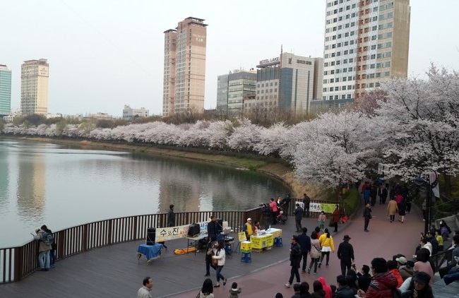 Những Địa Điểm Thăm Quan Không Thể Bỏ Lỡ Khi Đến Seoul Hàn Quốc