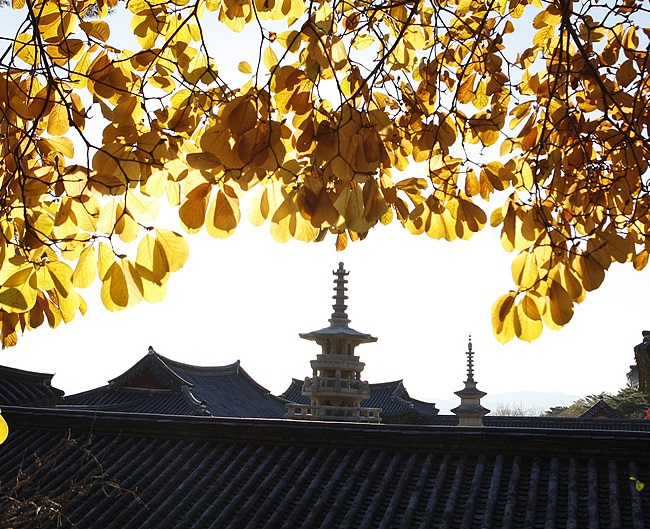 du lịch hàn quốc, chùa bulguksa hàn quốc, du lịch gyeongju hàn quốc, đền bulguksa – ngôi đền lâu đời nhất hàn quốc
