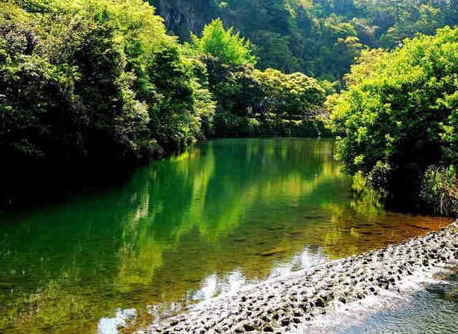 du lịch hàn quốc, du lịch jeju hàn quốc, thác cheonjiyeon hàn quốc, thác cheonjiyeon jeju hàn quốc – vẻ đẹp hùng vĩ của thiên nhiên