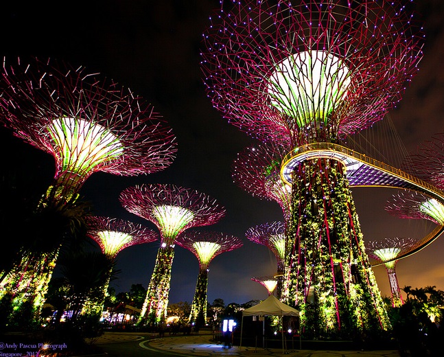cẩm nang du lịch, du lịch singapore, amazon, những hoạt động tại singapore được yêu thích nhất