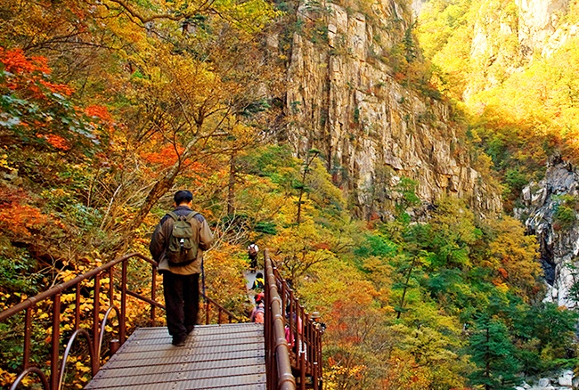 du lịch hàn quốc, du lịch gangwon hàn quốc, vườn quốc gia seoraksan, trải nghiệm leo núi và dã ngoại ở vườn quốc gia seoraksan hàn quốc